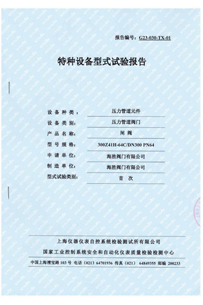 特种设备型式试验报告-闸阀