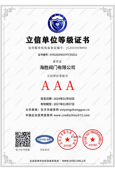 立信单位等级证书