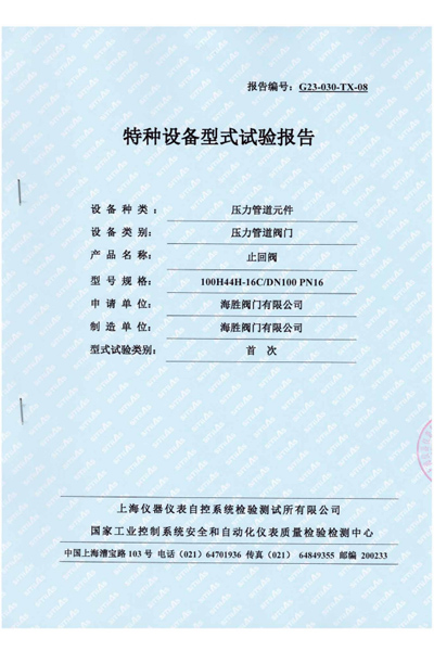 特种设备型式试验报告-止回阀