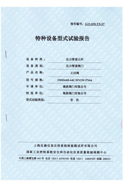 特种设备型式试验报告-止回阀