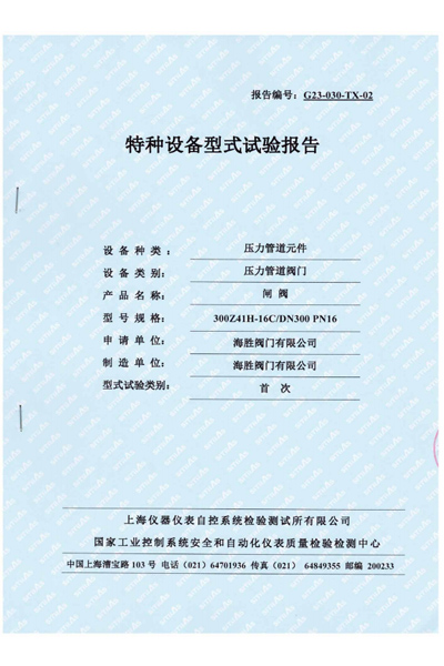 特种设备型式试验报告-闸阀