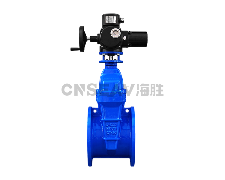 电动闸阀
